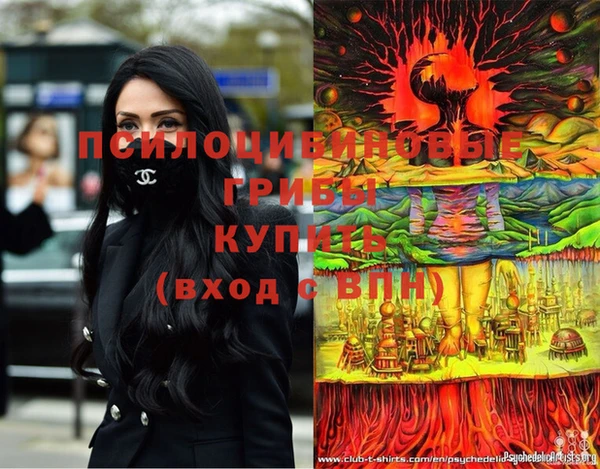 ешки Верхний Тагил