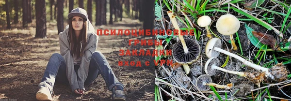ALPHA PVP Россошь