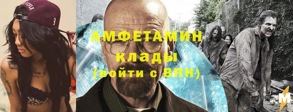гидра Володарск