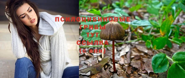 таблы Саяногорск