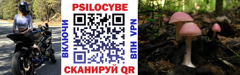 Псилоцибиновые грибы MAGIC MUSHROOMS  Снежинск 